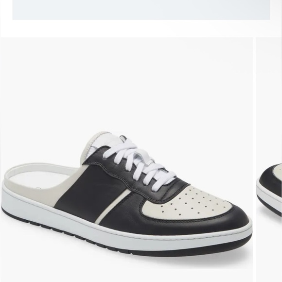 Collegium - Picture 11 of 12